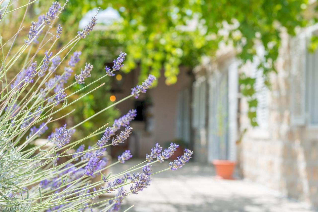 Midsummer Night'S Dream Apartment Dubrovnik Exterior photo